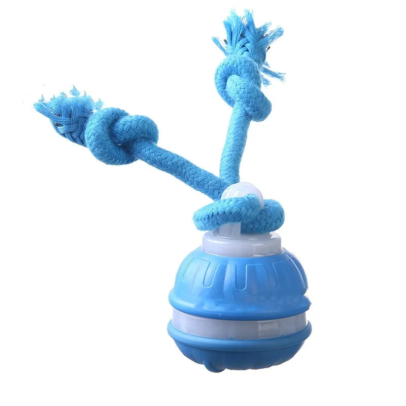 Pet Ball for Dogs Interactive Toys Motion Activate Rolling Ball for Puppy/Small Dogs Automatic Moving Toy USB Rechargeable Toy