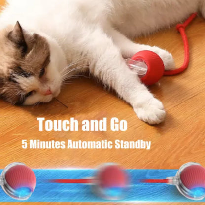 New Automatic Interactive Cat Ball Toy Rechargeable Smart Electric Rolling Ball with Faux Tail for Dog And Cat Training