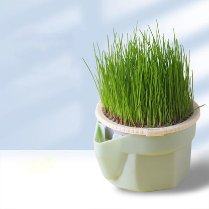 Hierarchical Cat Grass Planting Cup Hydroponic Soilless Cultivation Reusable Catnip Growing Container Seedling Germination Tray
