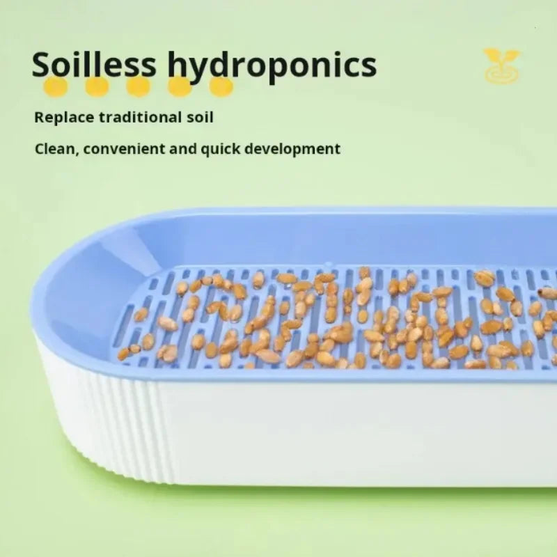 Hydroponic Cat Grass Box Cat Treats Catnip Hydroponic Soilless Planting Cat Grass Pot Set for Easy Growth
