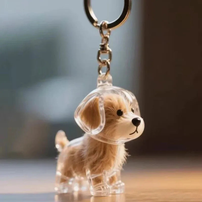 Hanging Pet Keychain Pendant Memorial Resin Cat/Dog Hair Storage Capsule Unique Keychain Novel Trendy Souvenir for Pet Lovers