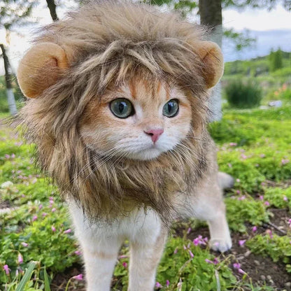 New Cute Funny Pets Clothes Cap Cute Cat Wig Lion Mane Costume Cosplay Kitten Dog Hat with Ears Fancy Party Supplies