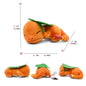 Pokemon Large pet Pok é mon plush earth turtle Huangyan wolf Soloya fierce carp dragon spray fire dragon toy doll, plush toy chi