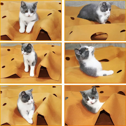 Cat Playing Game Mat Pet Toys Training Activity Collapsible Rug Scratch Resistant Toys Bite Climbing Frame Cat Litter Mat Pad