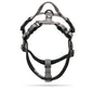 Truelove Pet Harness Adjustable Reflective Nylon with Collar Leash LED Light Neoprene Padded Hiking Running TLH6171 Dropshipping